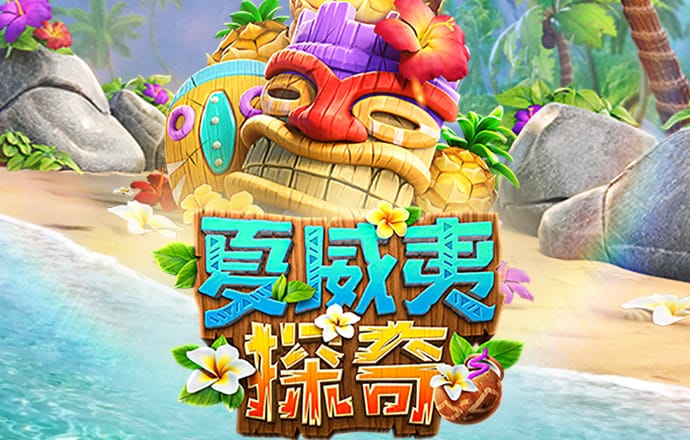 Dg体育足球网
